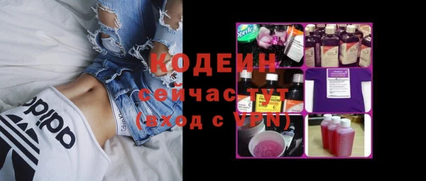 молекула духа Богородицк