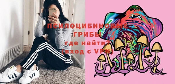 соль курить ск Богданович