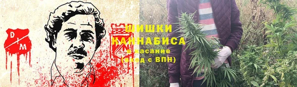 молекула духа Богородицк