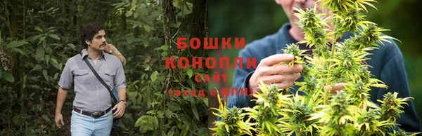молекула духа Богородицк