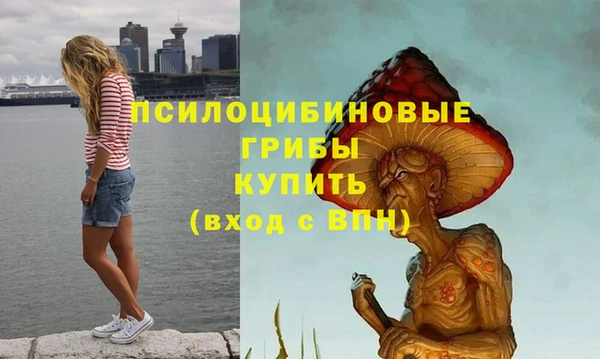 молекула духа Богородицк