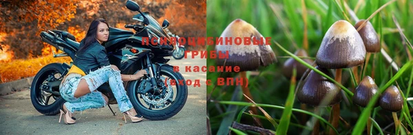 молекула духа Богородицк