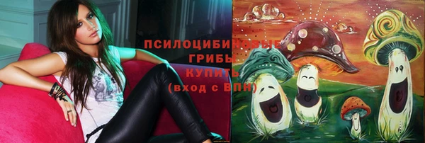 молекула духа Богородицк