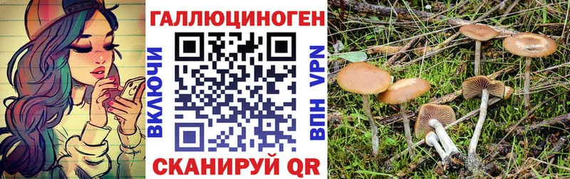 Галлюциногенные грибы Magic Shrooms  Купить закладки  Петровск 